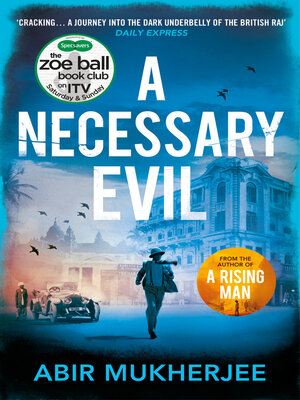cover image of A Necessary Evil